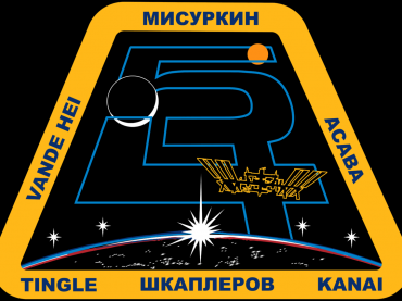 ISS_Expedition_54_Patch.png